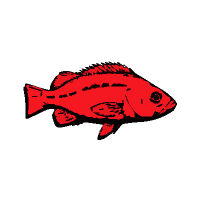 red-fish-big